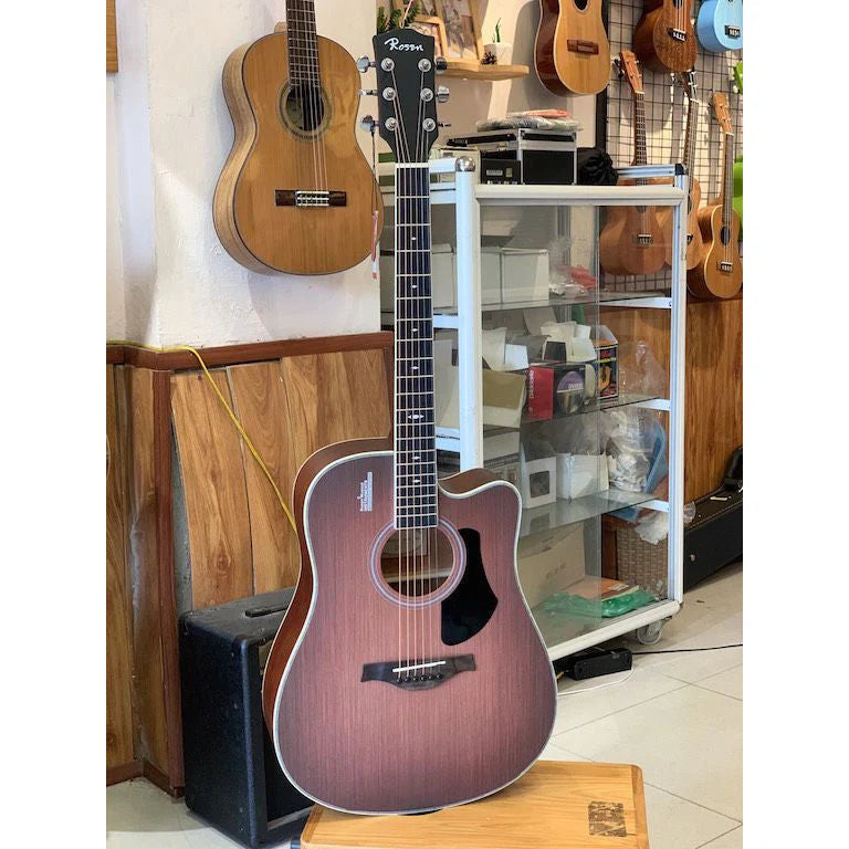 Đàn Guitar Acoustic Rosen G11CS