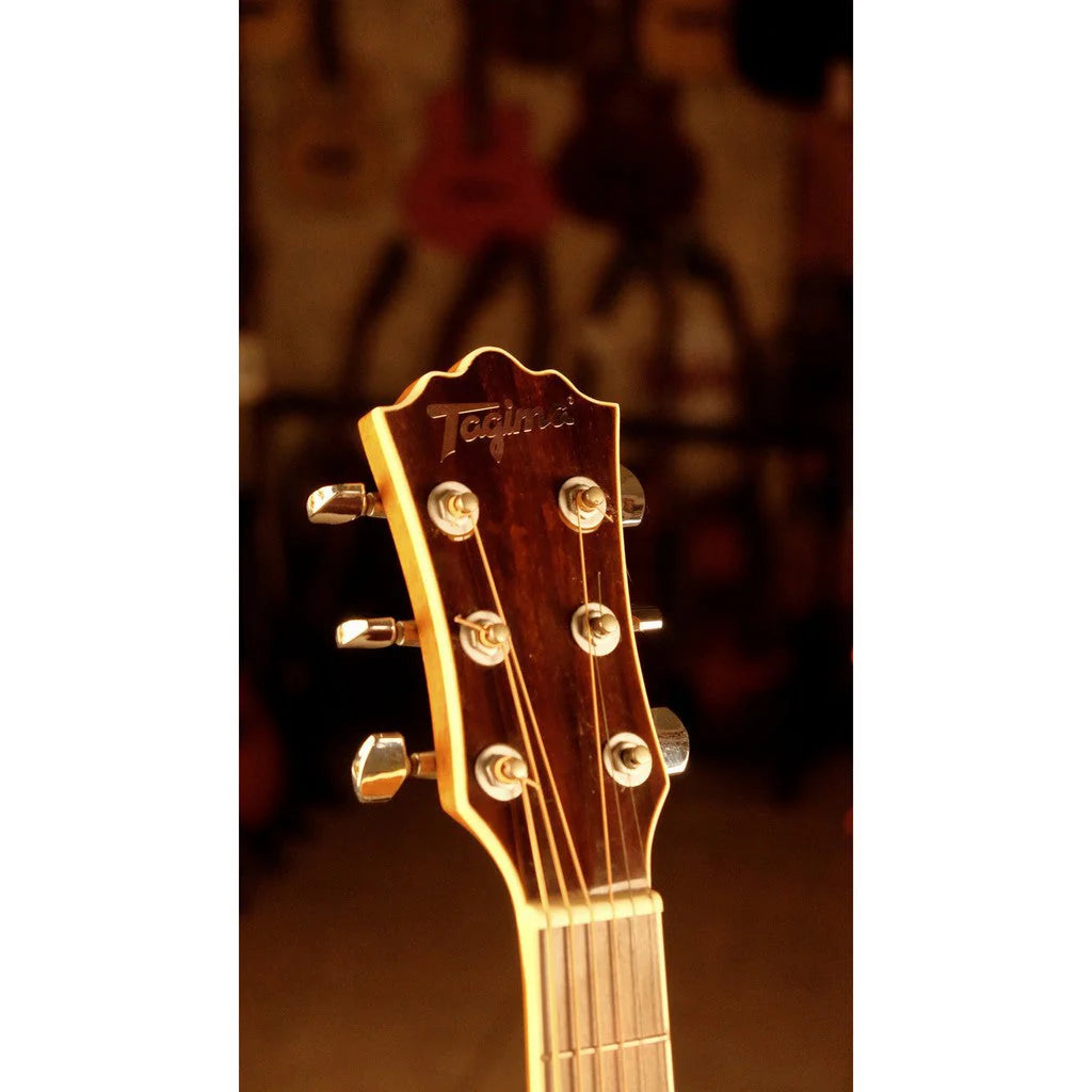 Đàn Guitar Acoustic Tagima Ventore