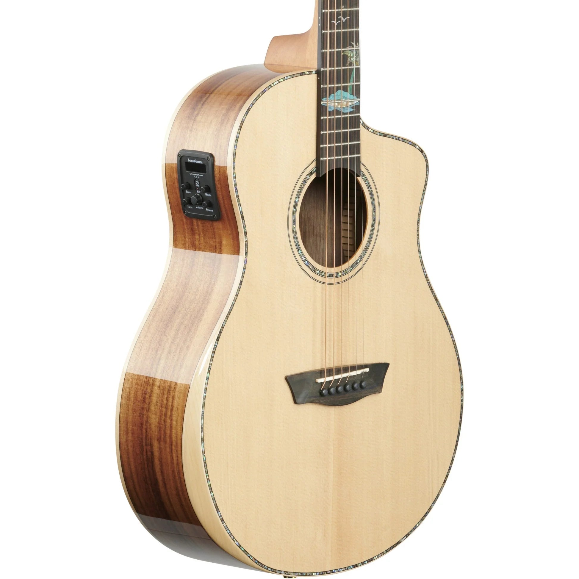 Đàn Guitar Acoustic Washburn Bella Tono Allure SC56S