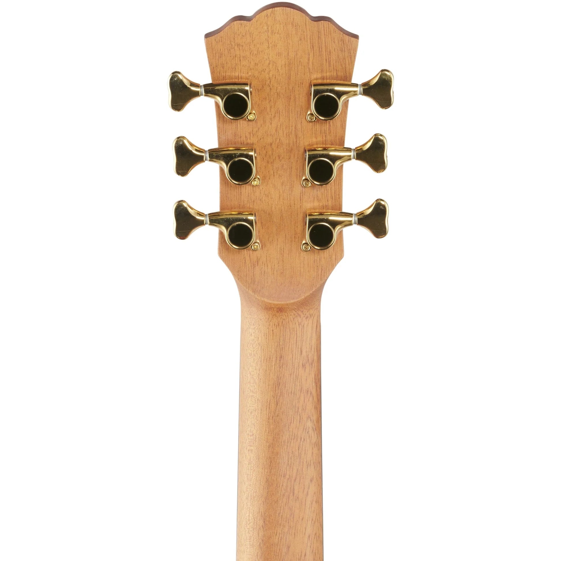 Đàn Guitar Acoustic Washburn Bella Tono Elegante S24S