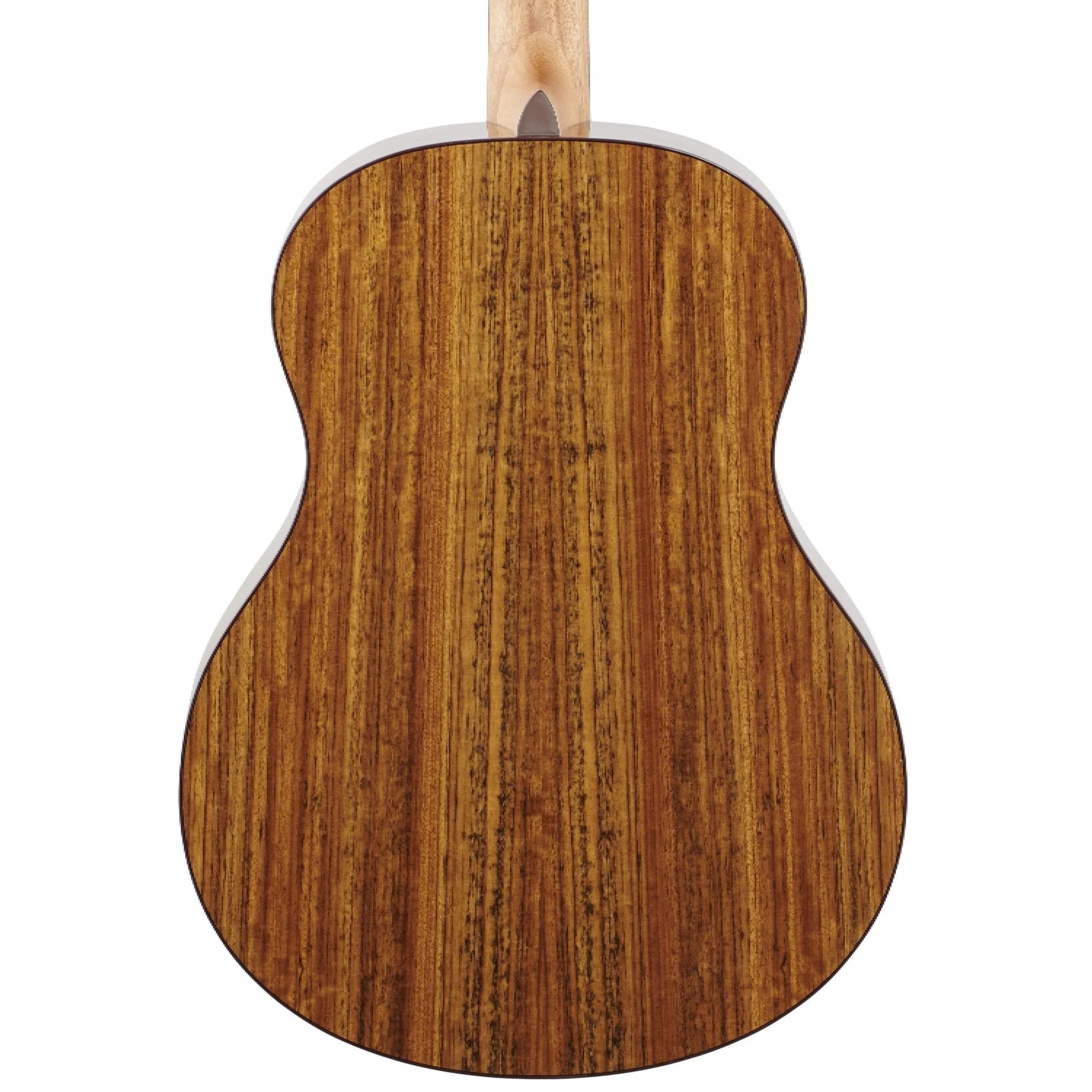 Đàn Guitar Acoustic Washburn Bella Tono Novo S9