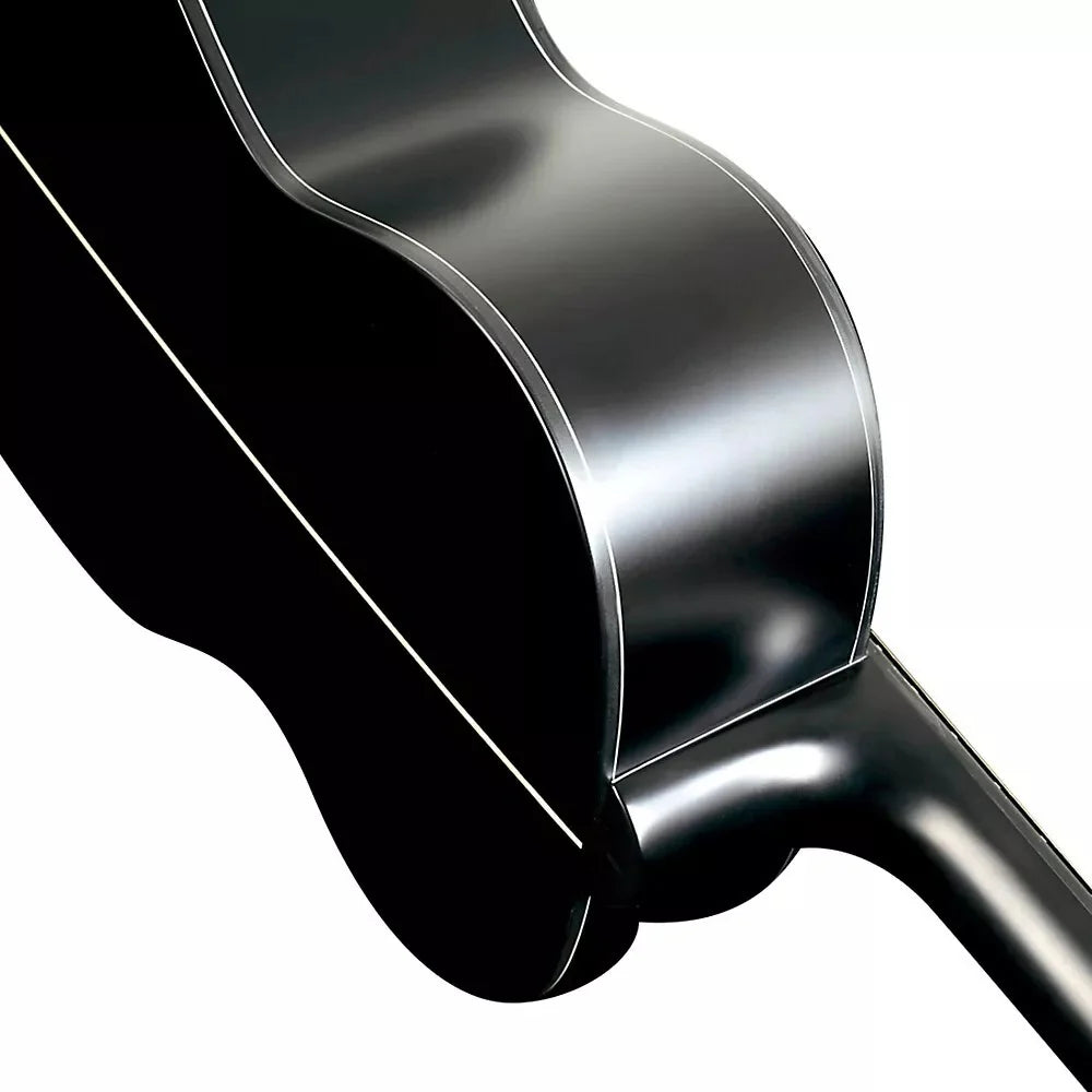 Đàn Guitar Acoustic Washburn Deep Forest Ebony FE