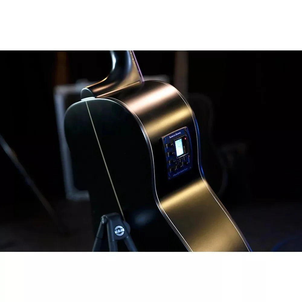 Đàn Guitar Acoustic Washburn Deep Forest Ebony FE
