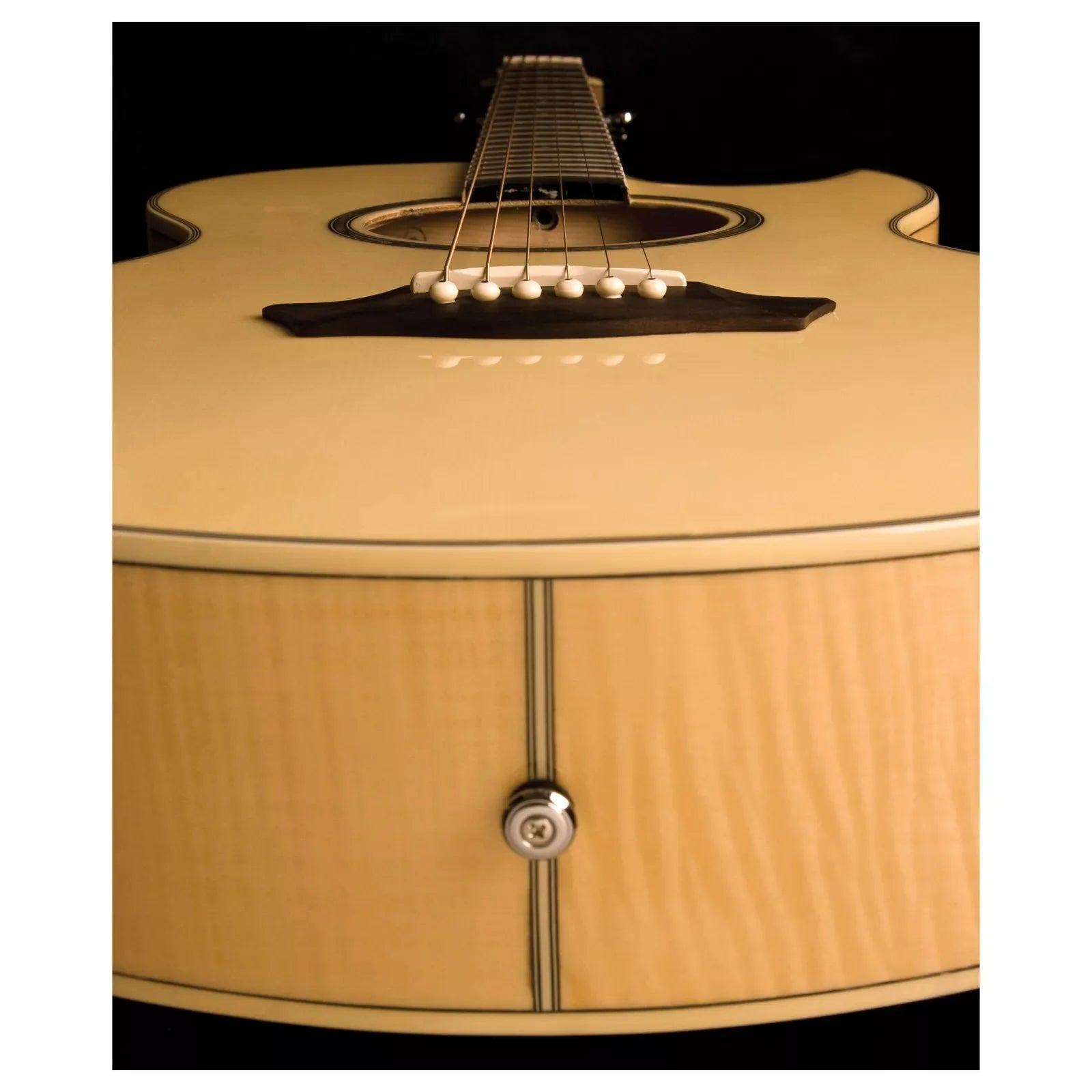 Đàn Guitar Acoustic Washburn Festival EA20