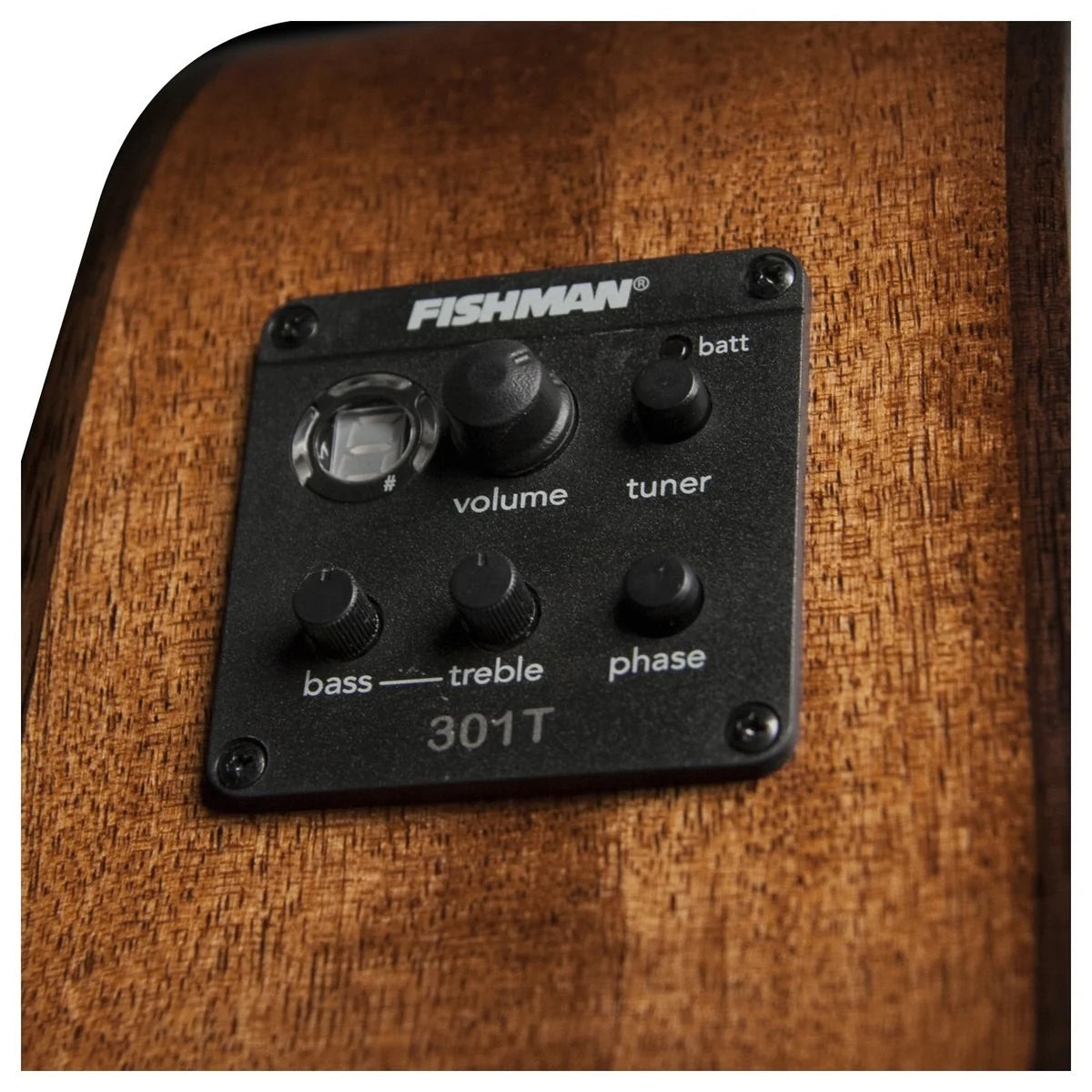 Đàn Guitar Acoustic Washburn Woodline O10SCE