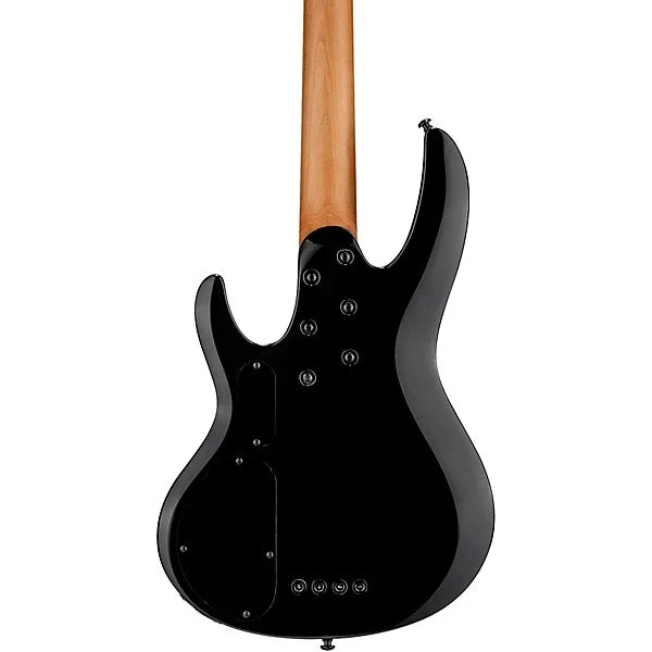 Đàn Guitar Bass ESP LTD B204DX