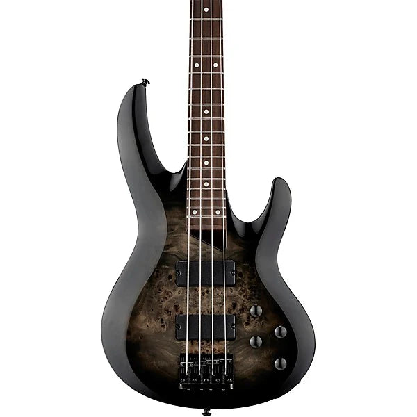 Đàn Guitar Bass ESP LTD B204DX