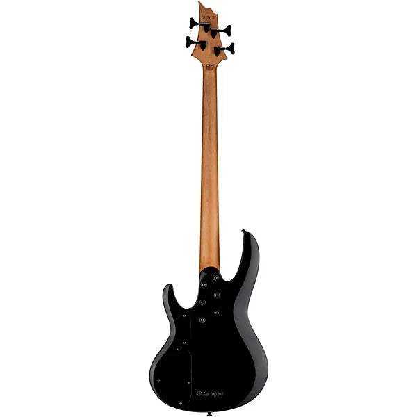Đàn Guitar Bass ESP LTD B204DX