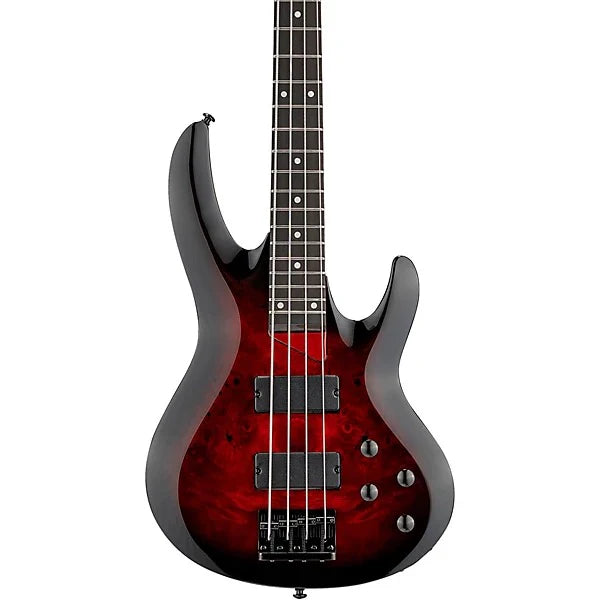 Đàn Guitar Bass ESP LTD B204DX