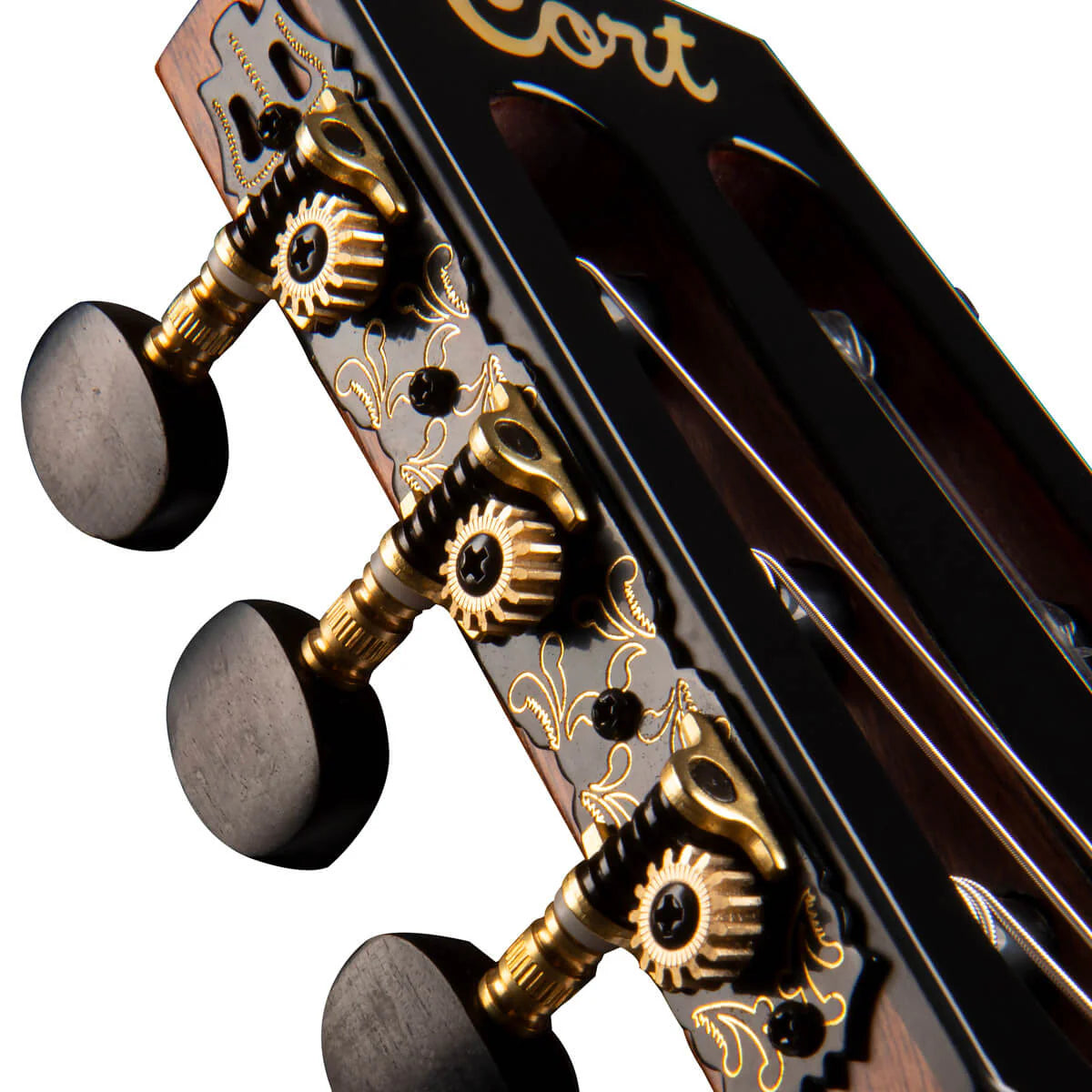 Đàn Guitar Classic Cort Gold OC8 Nylon