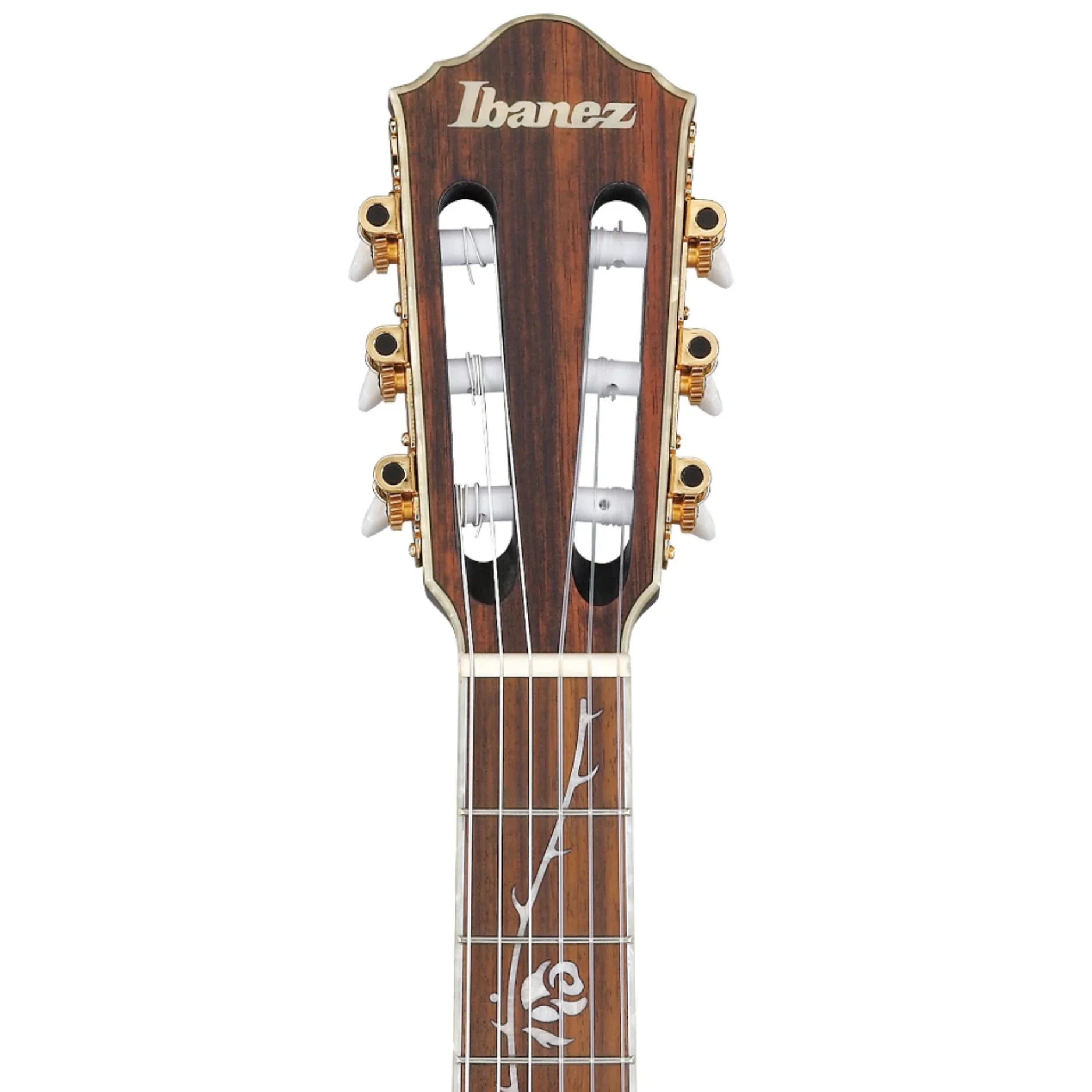 Đàn Guitar Classic Ibanez TOD10N Tim Henson Signature, Transparent Black Flat
