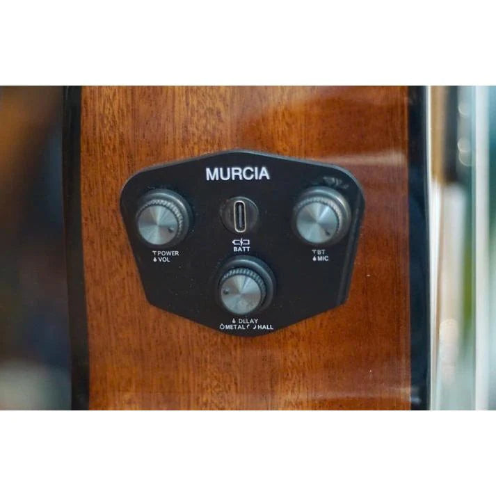 Đàn Guitar Classic Murcia Fusion MH wBag