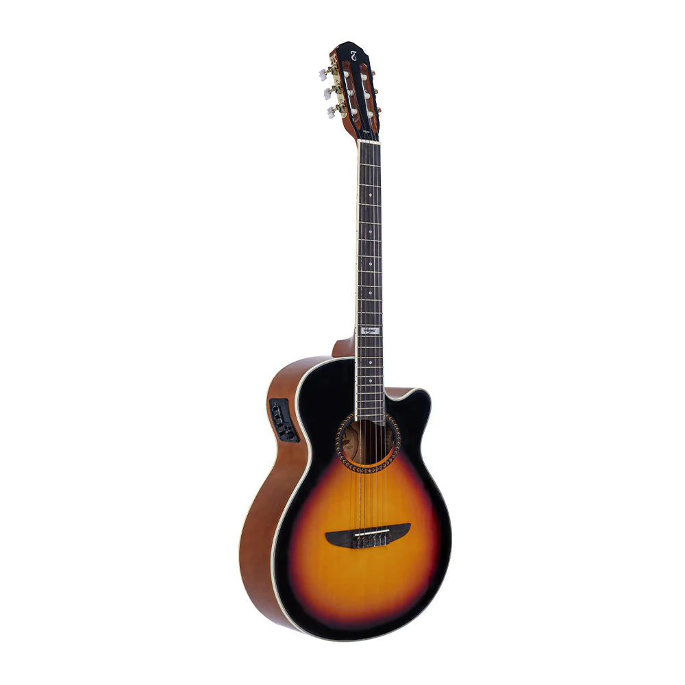 Đàn Guitar Classic Tagima Vegas