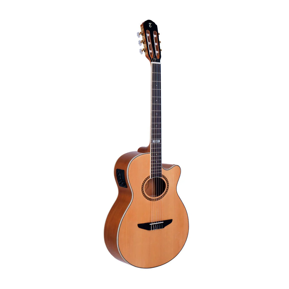 Đàn Guitar Classic Tagima Vegas