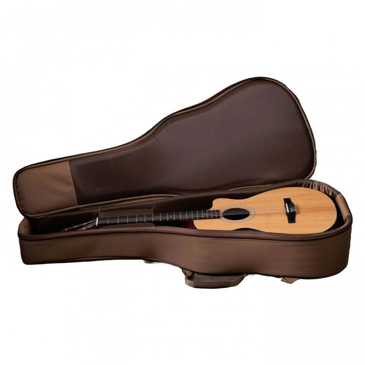 Đàn Guitar Classic Taylor 112CE-N