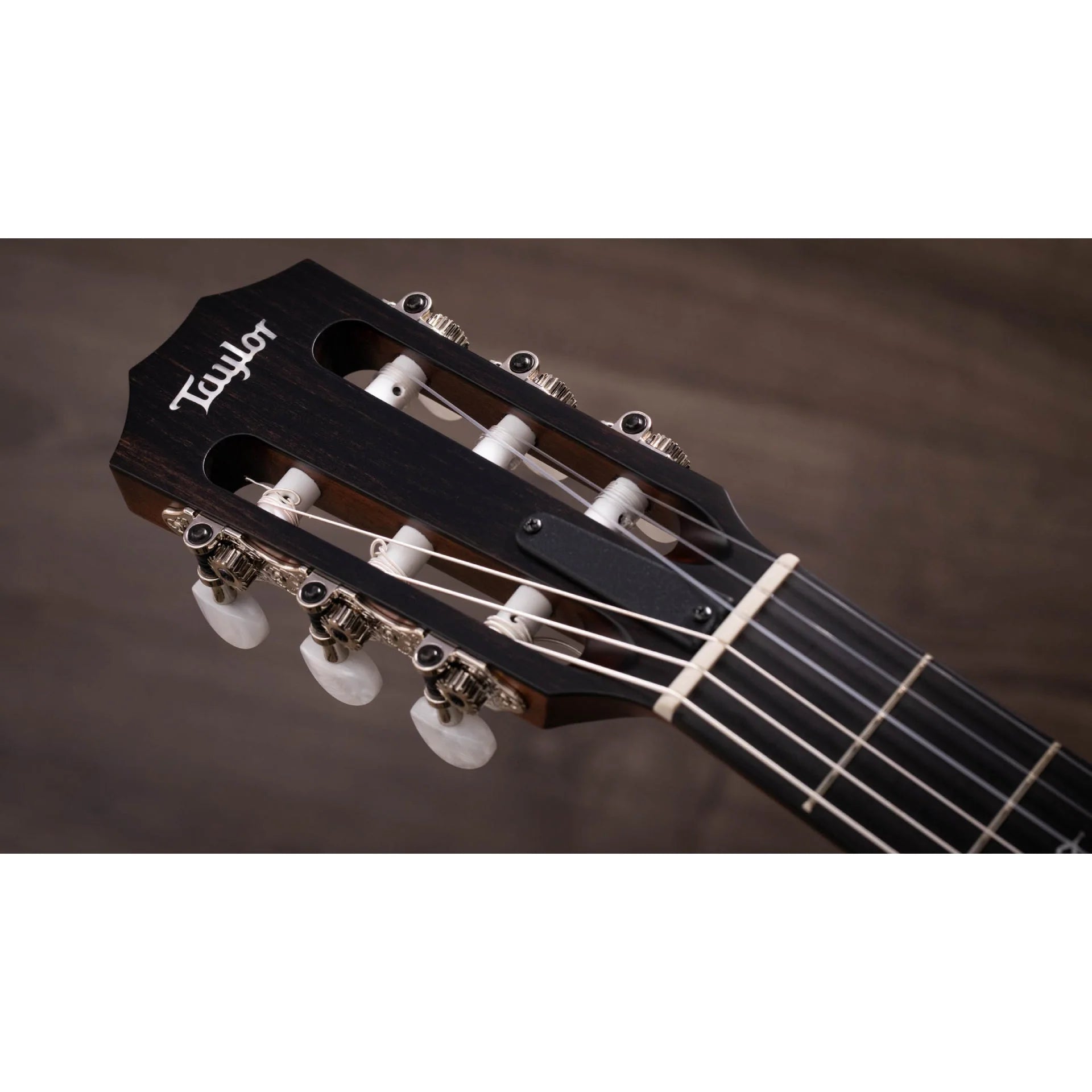 Đàn Guitar Classic Taylor 314CE-N
