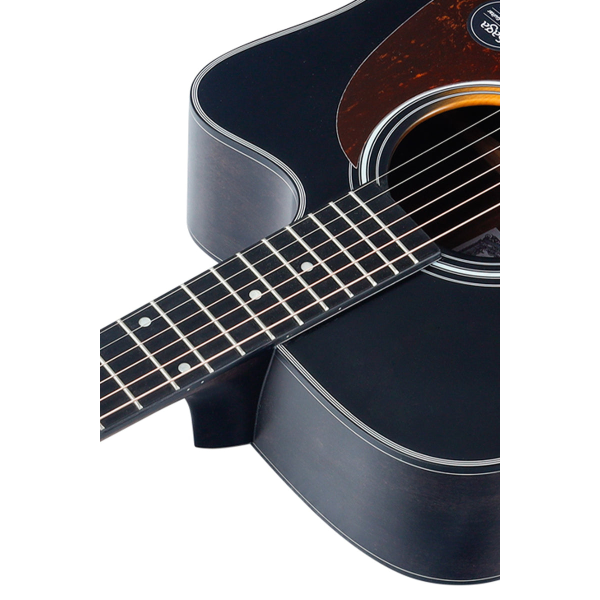 Đàn Guitar Saga SF800C Acoustic
