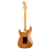 Đàn Guitar Điện Fender American Professional II Stratocaster, Roasted Pine, #0113902763