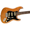 Đàn Guitar Điện Fender American Professional II Stratocaster, Roasted Pine, #0113900763