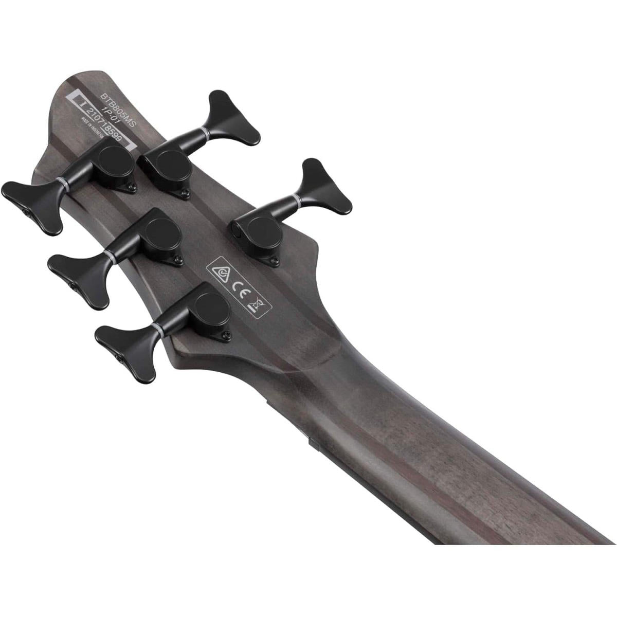 Đàn Guitar Bass 5-Dây Ibanez BTB Workshop, Ibanez BTB805MS, Transparent Gray Flat w/Case