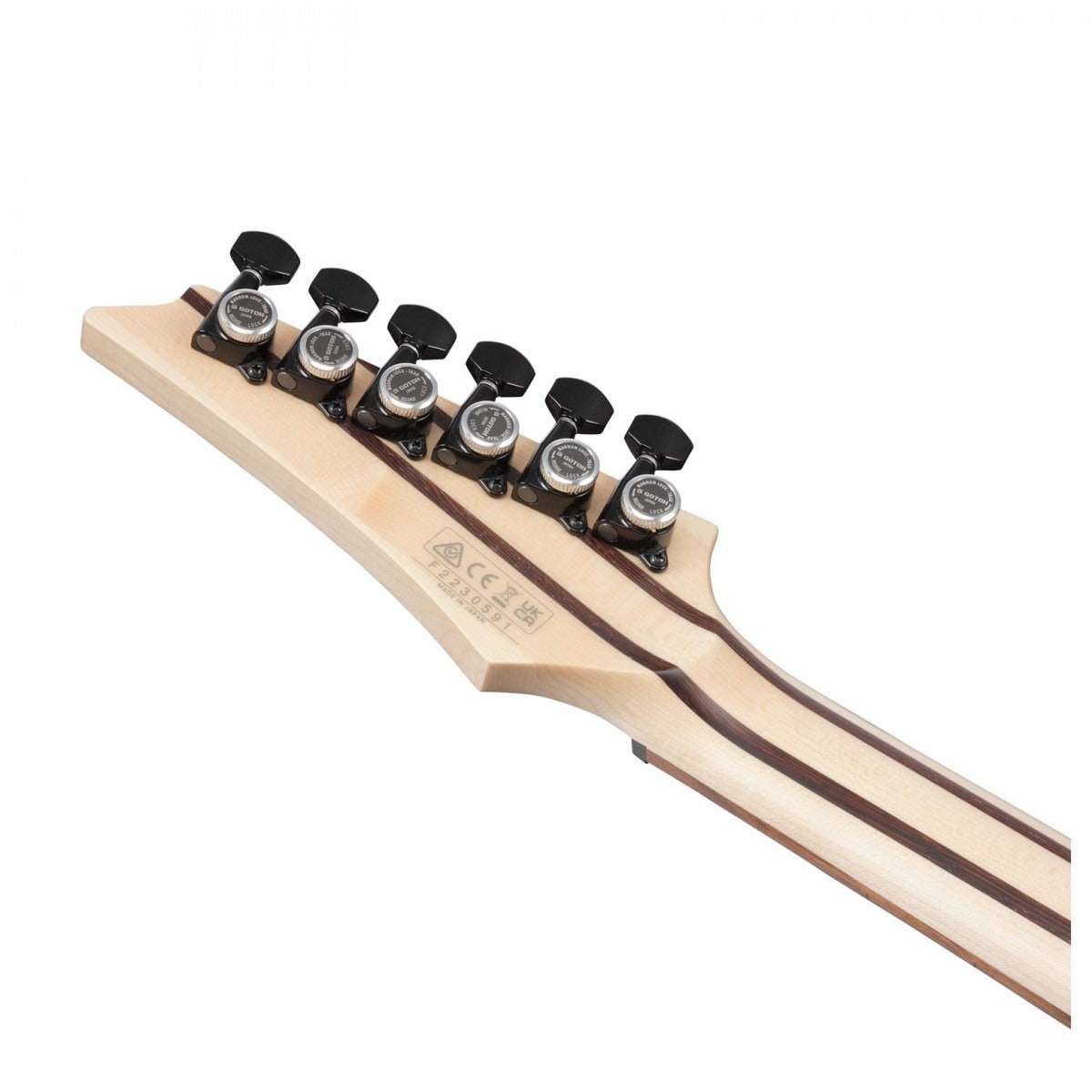 Đàn Guitar Điện Ibanez RGD3121, HH, RGD Prestige Series, Made in Japan, Polar Lights Flat