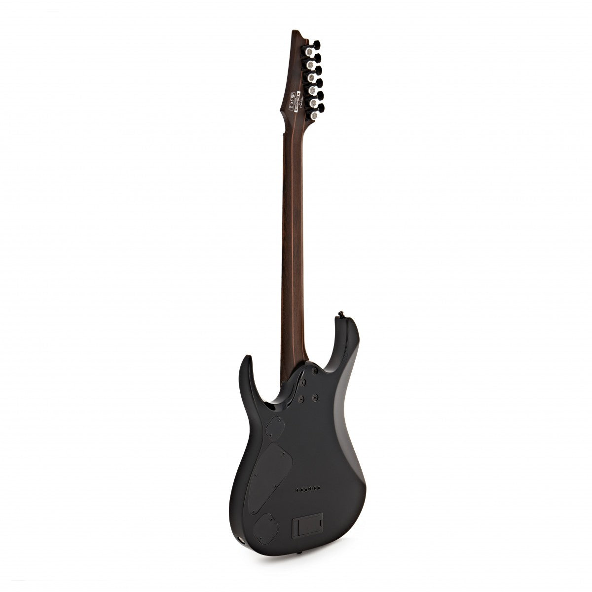 Đàn Guitar Điện Ibanez RGD61ALA, HH, RGD Axion Label Series, Midnight Tropical Rainforest