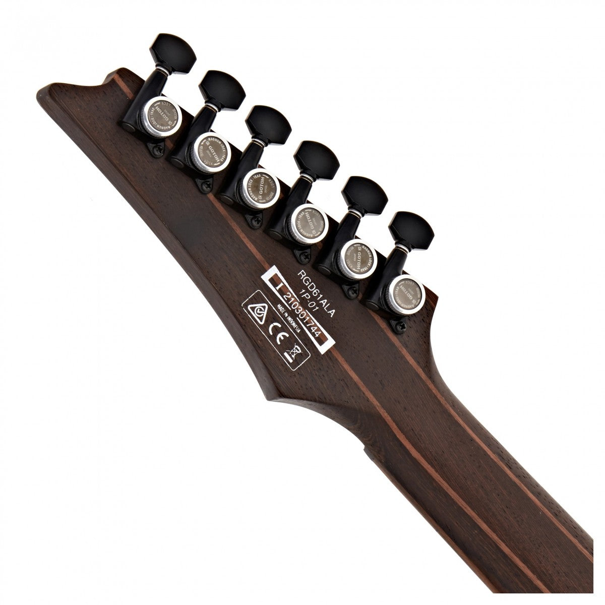 Đàn Guitar Điện Ibanez RGD61ALA, HH, RGD Axion Label Series, Midnight Tropical Rainforest 