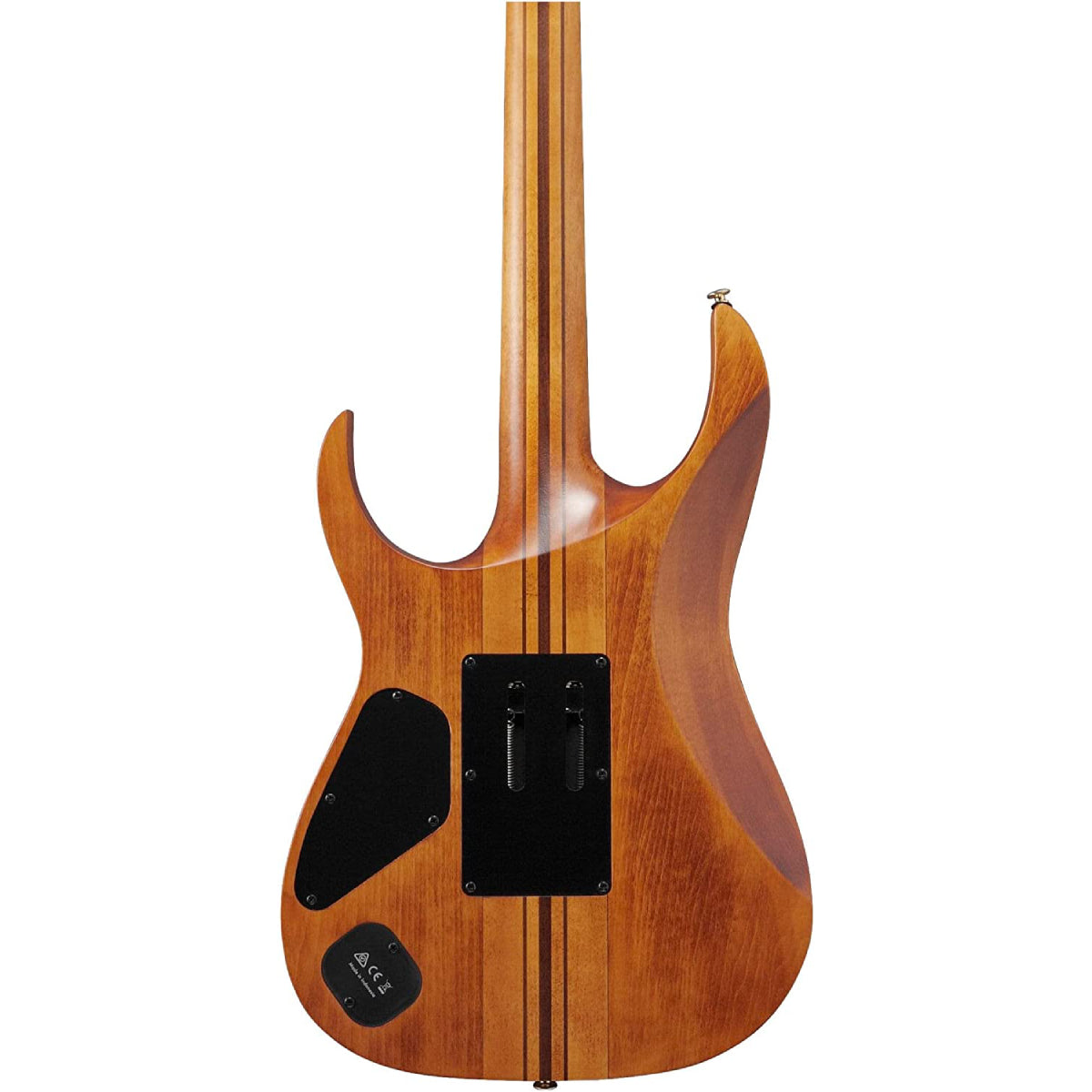 Đàn Guitar Điện Ibanez Premium RGT1220PB, HH, Antique Brown Stain w/Bag