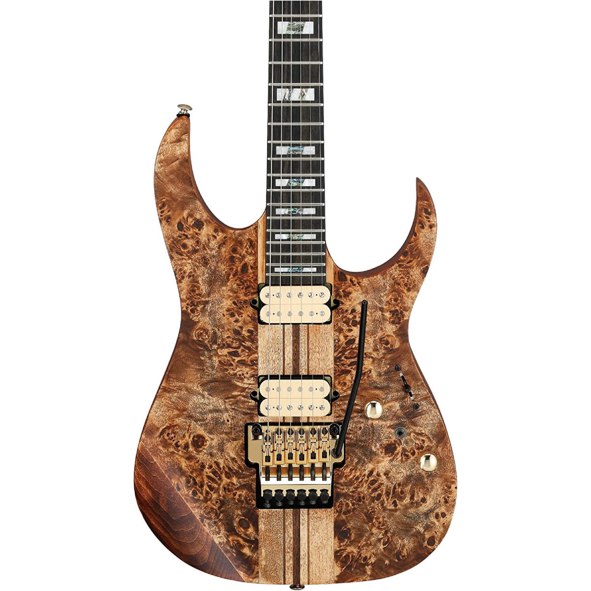 Đàn Guitar Điện Ibanez Premium RGT1220PB, HH, Antique Brown Stain w/Bag