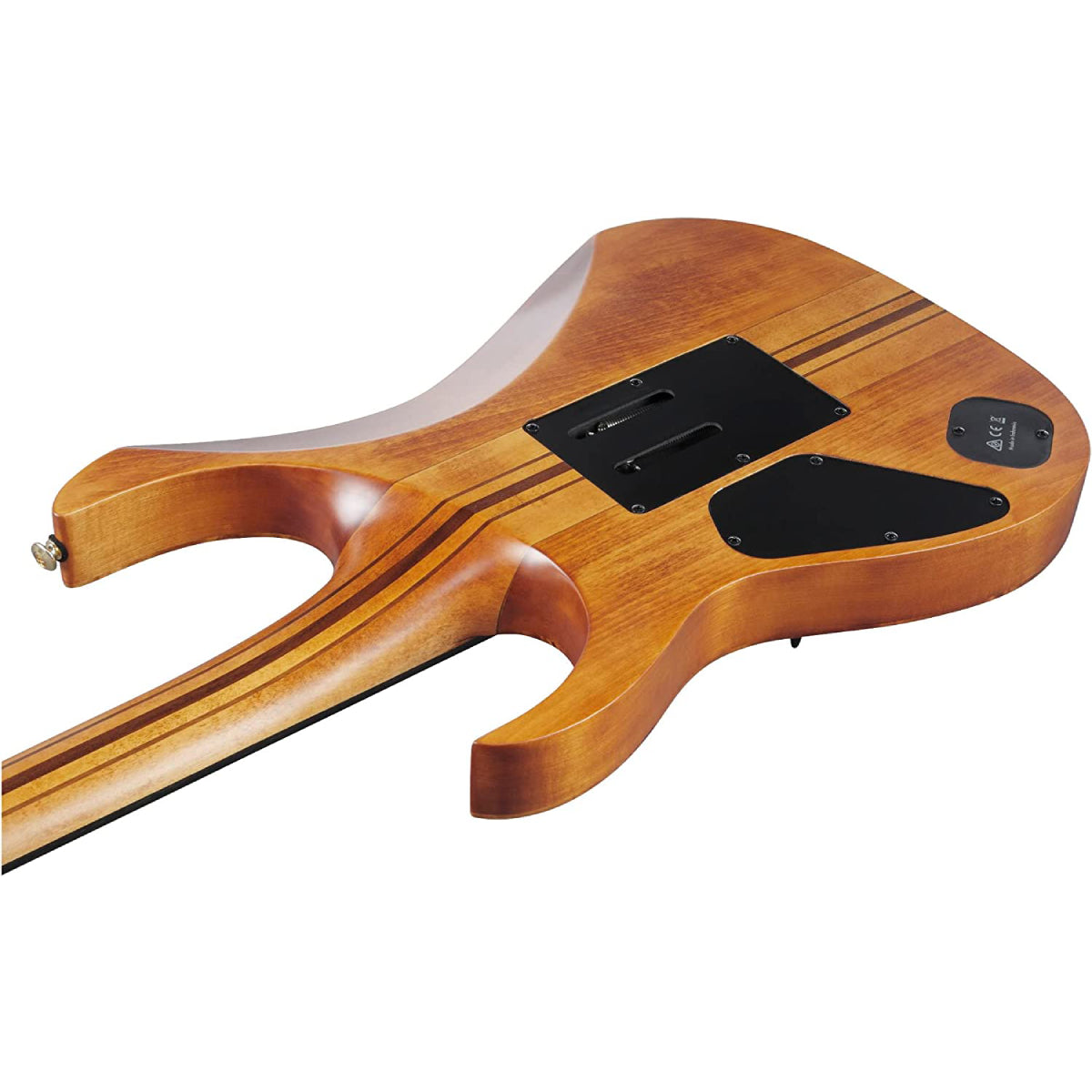 Đàn Guitar Điện Ibanez Premium RGT1220PB, HH, Antique Brown Stain w/Bag