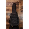 Đàn Guitar Bass 5-Dây Ibanez Bass Workshop, Ibanez EHB1005MS, Black Flat w/Bag