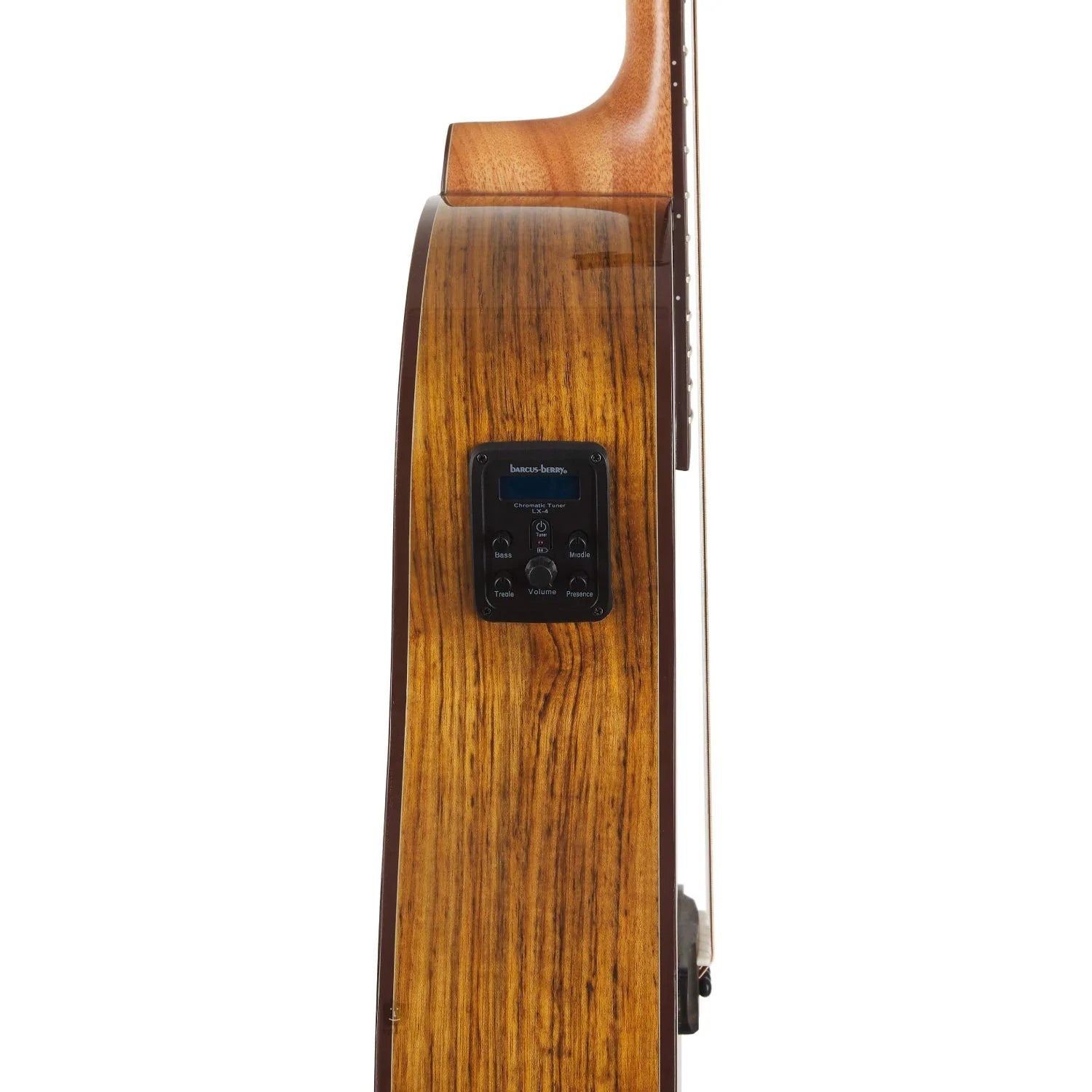 Washburn Bella Tono Vite S9V