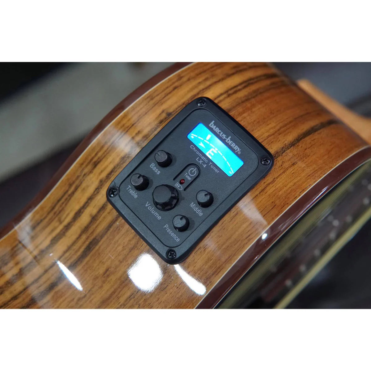 Washburn Bella Tono Vite S9V