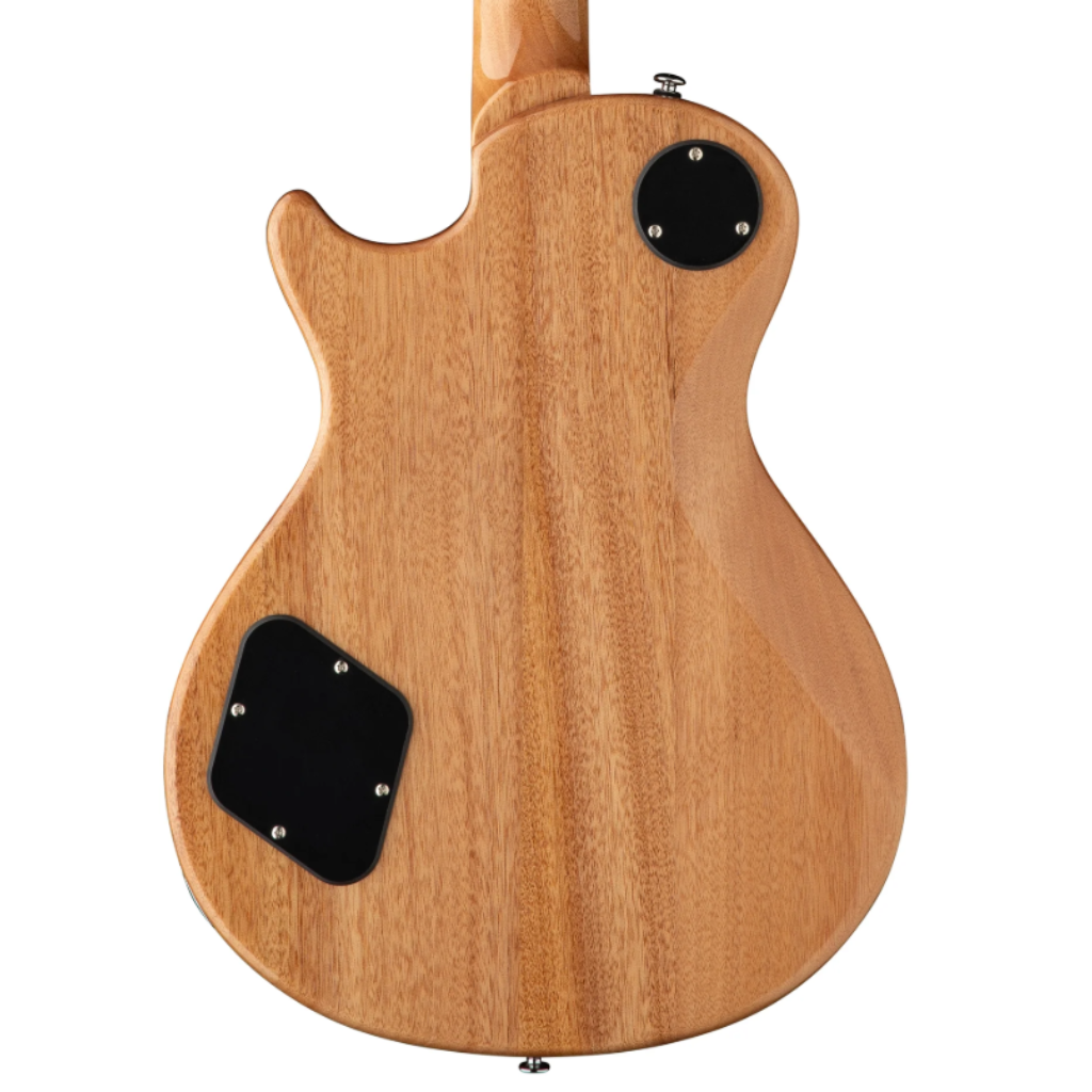Đàn Guitar Điện PRS SE McCarty 594 Singlecut, Turtoise