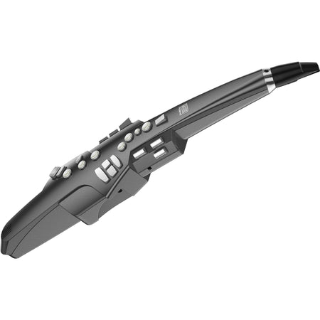 Kèn Điện Roland Aerophone AE-10