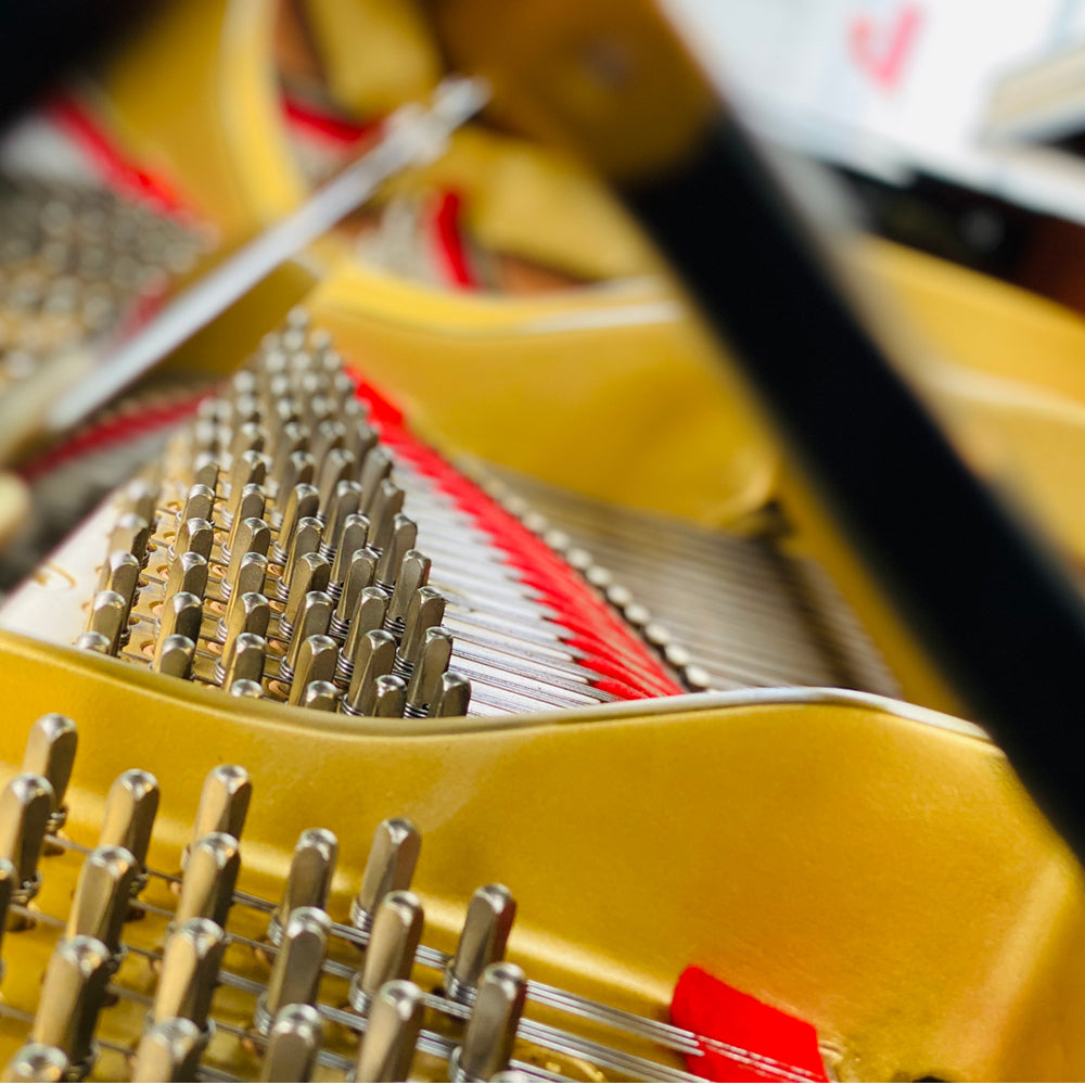 Đàn Grand Piano Yamaha G5E