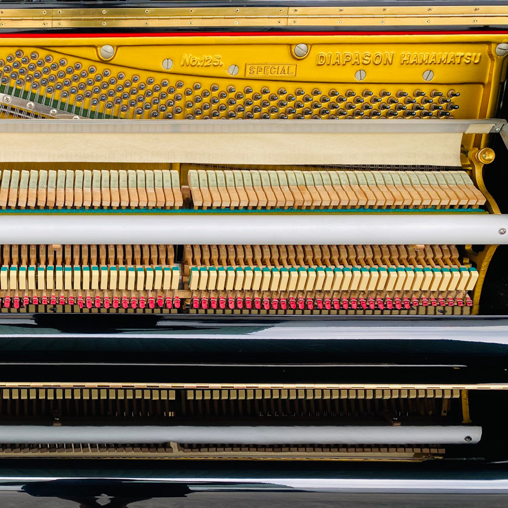Đàn Piano Cơ Diapason 125