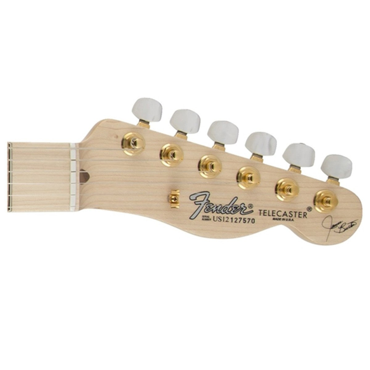 Fender Artist James Burton Telecaster, Blue Paisley Flames - Việt Music