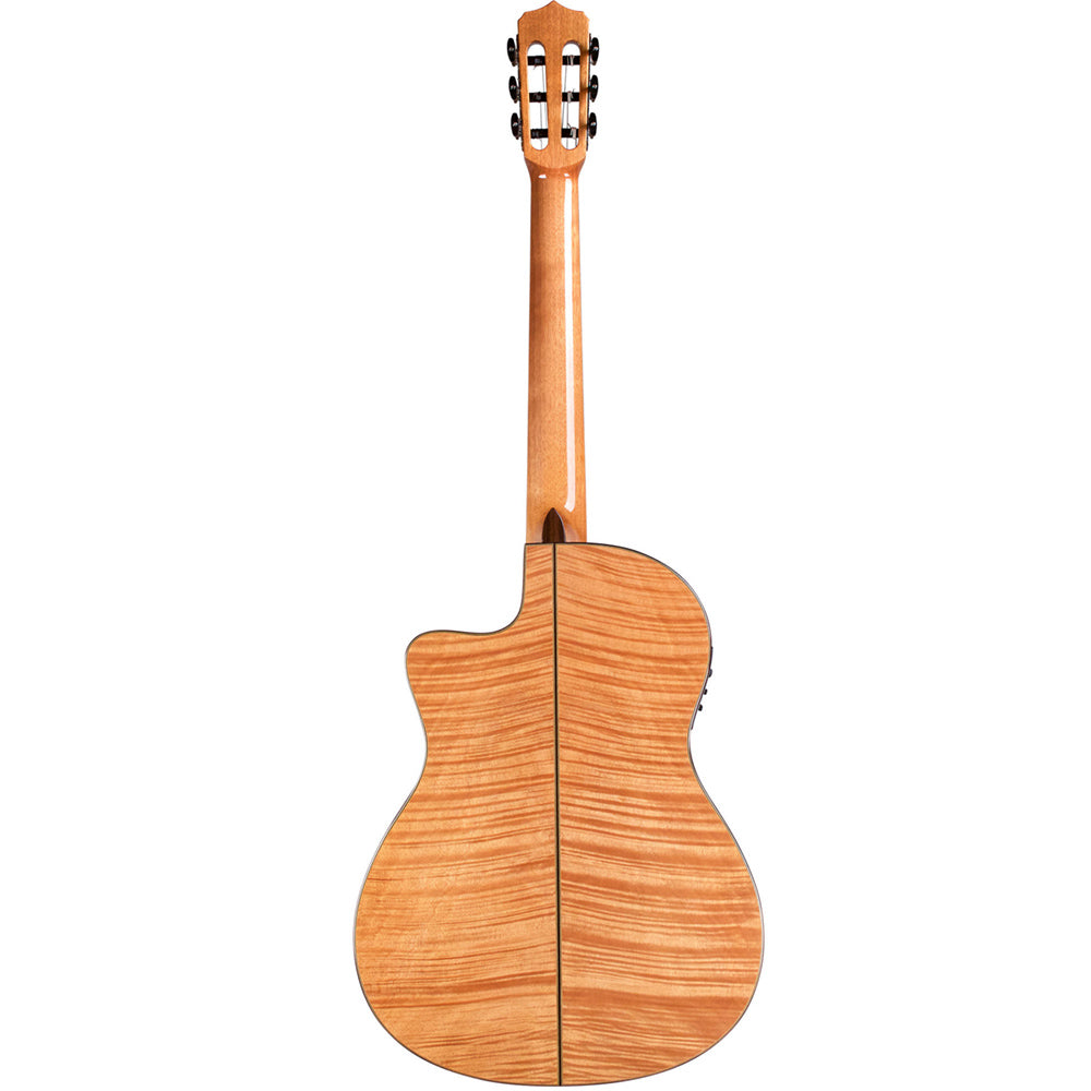 Fusion 14 Maple