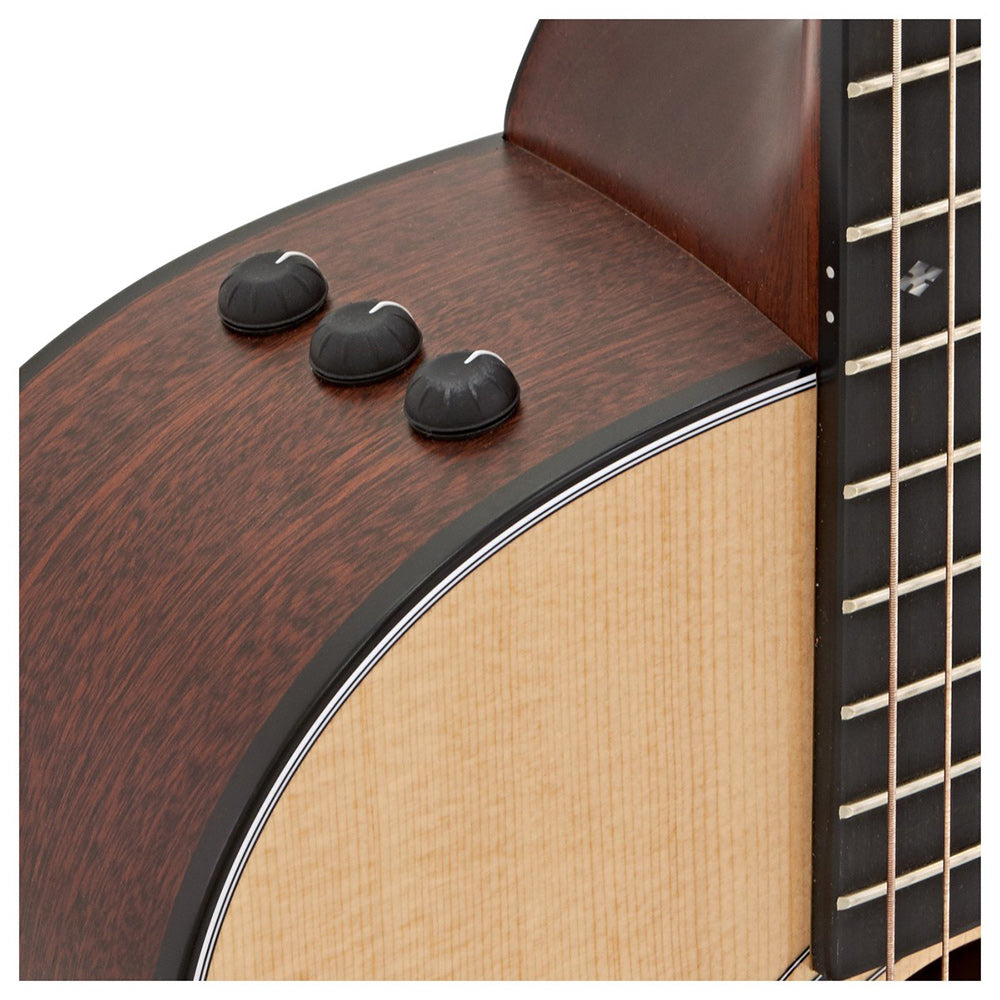 Đàn Guitar Taylor 312CEN