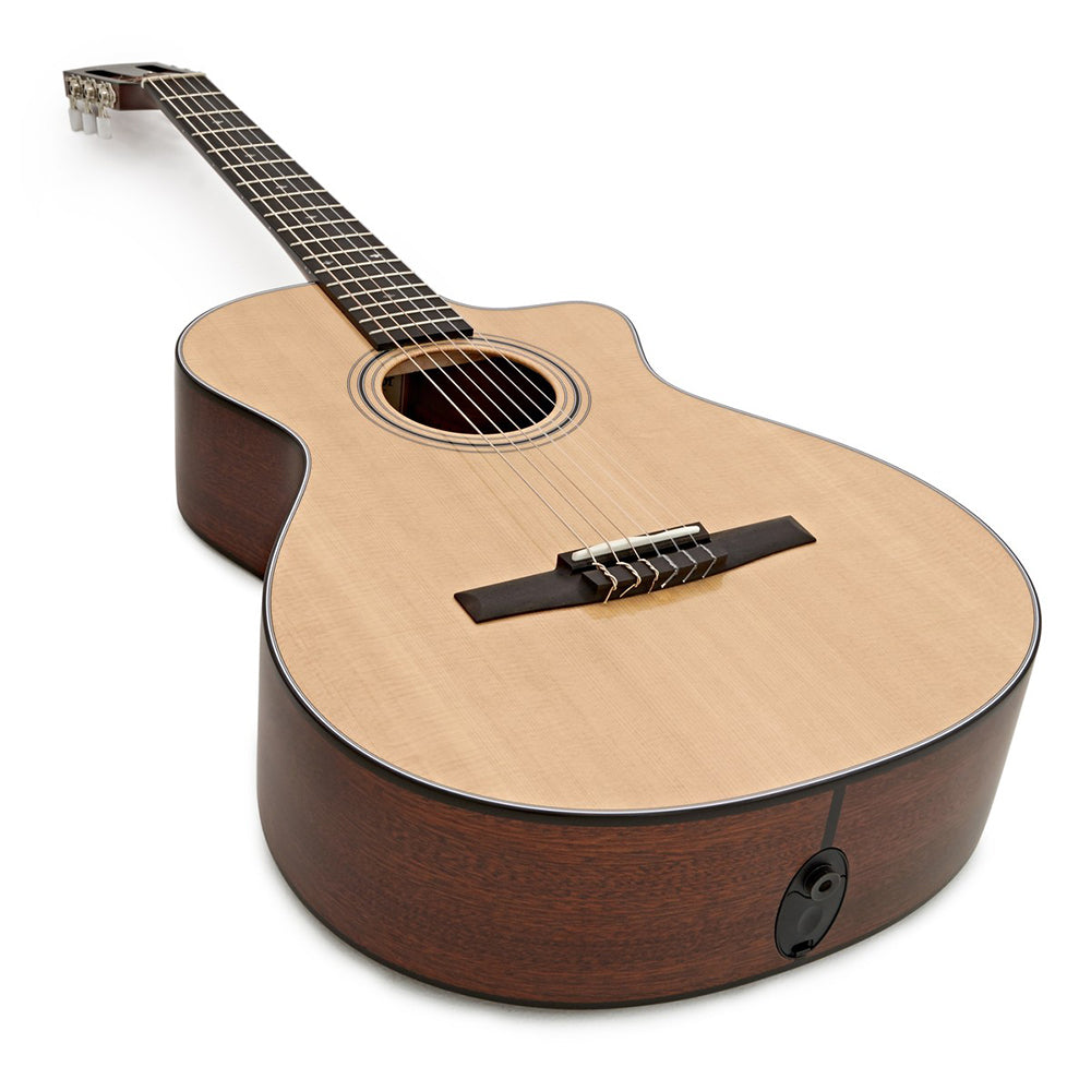 Đàn Guitar Taylor 312CEN
