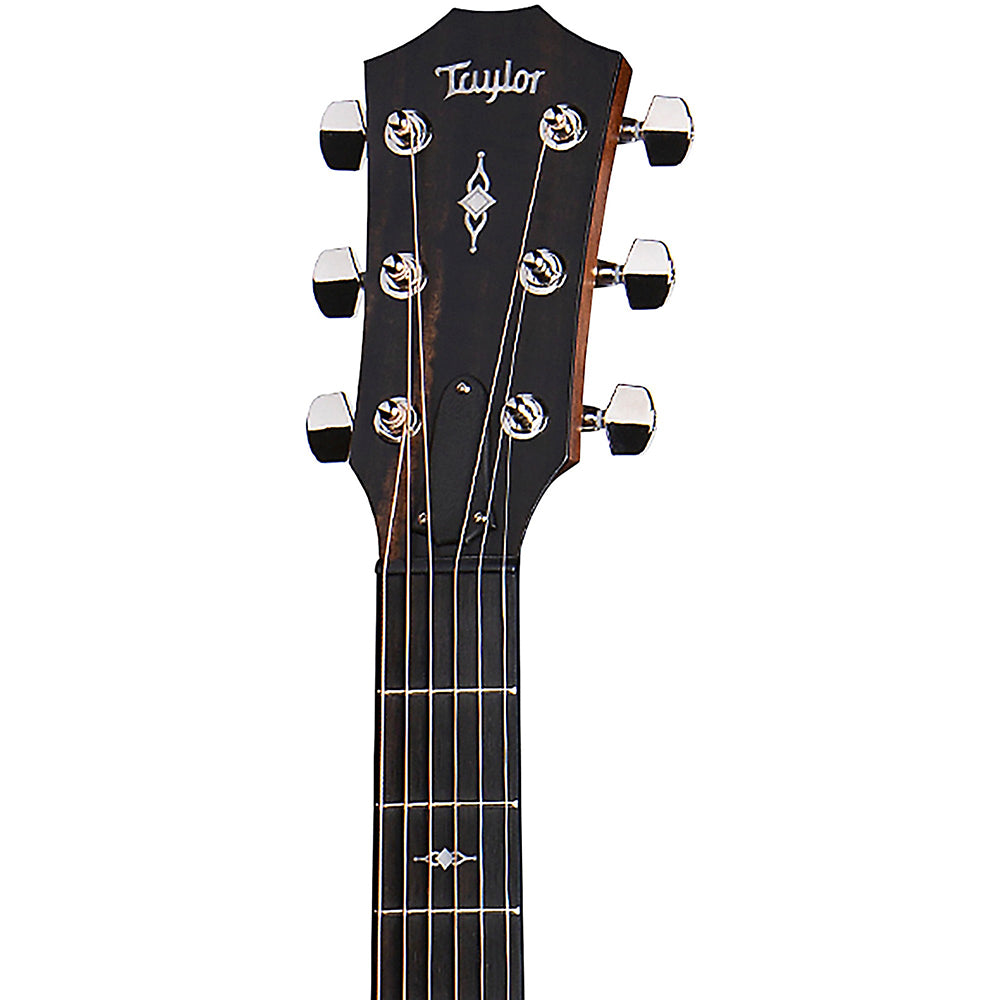 Đàn Guitar Taylor 317