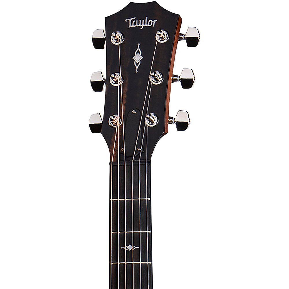 Đàn Guitar Taylor 317E