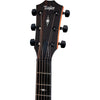 Đàn Guitar Taylor 326CE