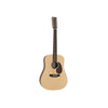 Đàn Guitar Martin D12X1AE