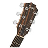 Đàn Guitar Taylor 110e Acoustic