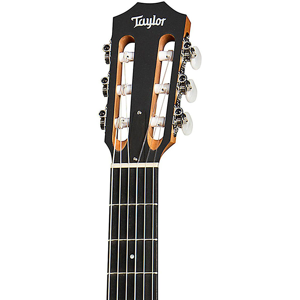 Taylor Academy A12N