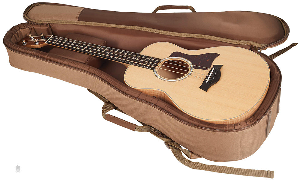 Taylor GSmini E Maple