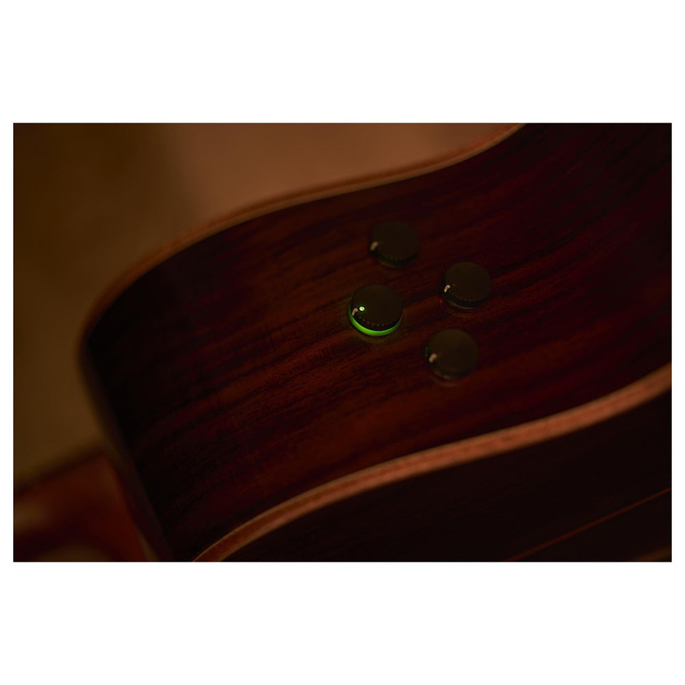 Yamaha AC5R