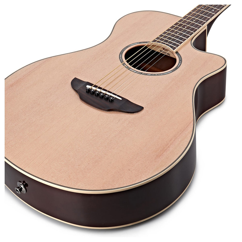 Yamaha APX600